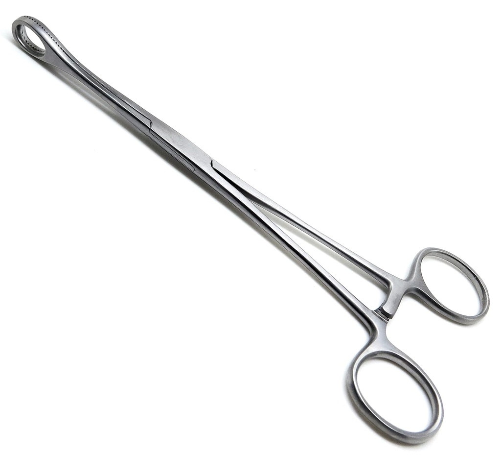 Sponge Forceps Straight 8" 