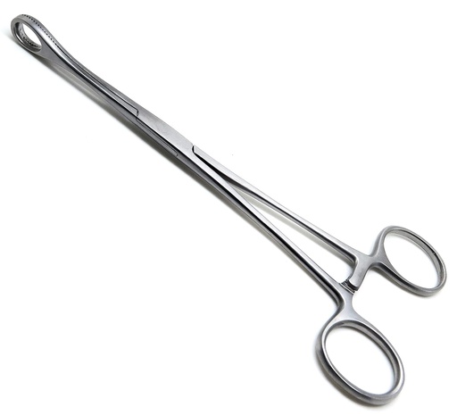 [MS-T10568-PLAST-CAT00078] Sponge Forceps Straight 8" 