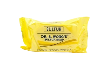 [GR-T10819-SNB-CAT00161] Dr. S. Wong's Sulfur Soap 135g